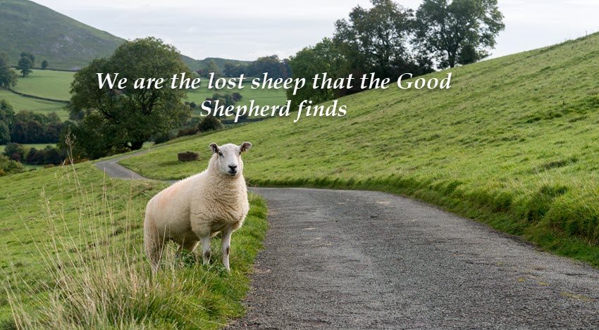 The Blessing of Being a Sheep