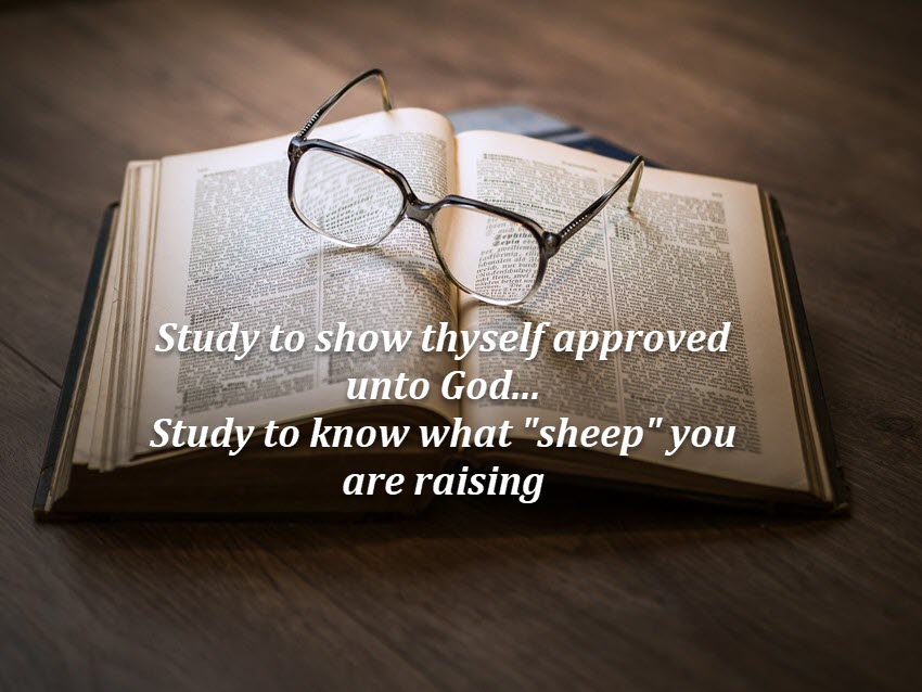 study God's Word
