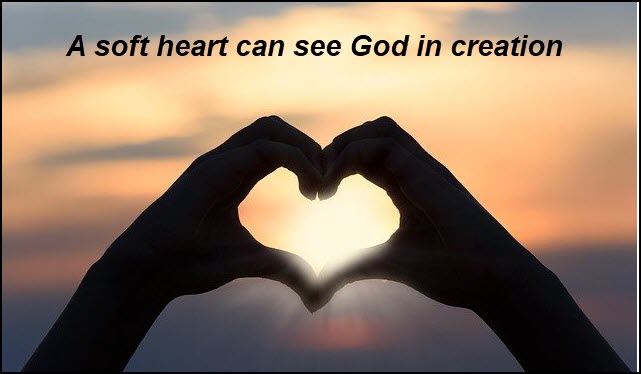 Soft hearts can see God in creation
