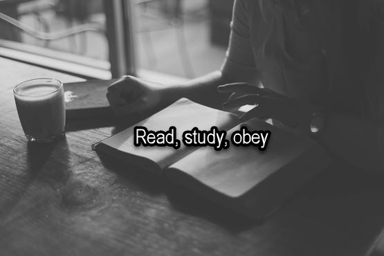 Read study obey