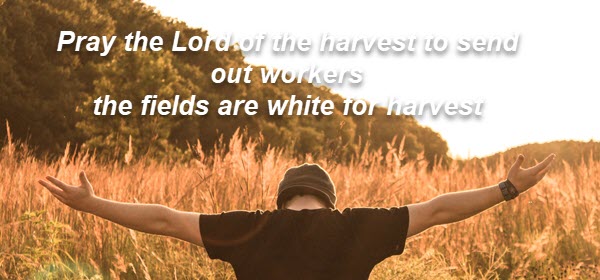 Pray the Lord of the harvest