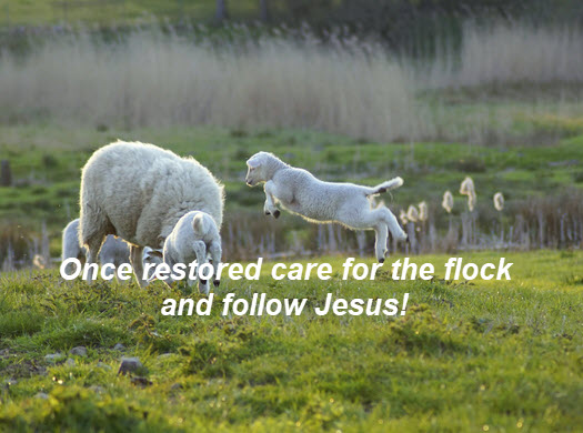 Take care of the flock